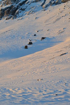 A serene snow-covered mountain slope with scattered rocks bathed in soft dusk light.