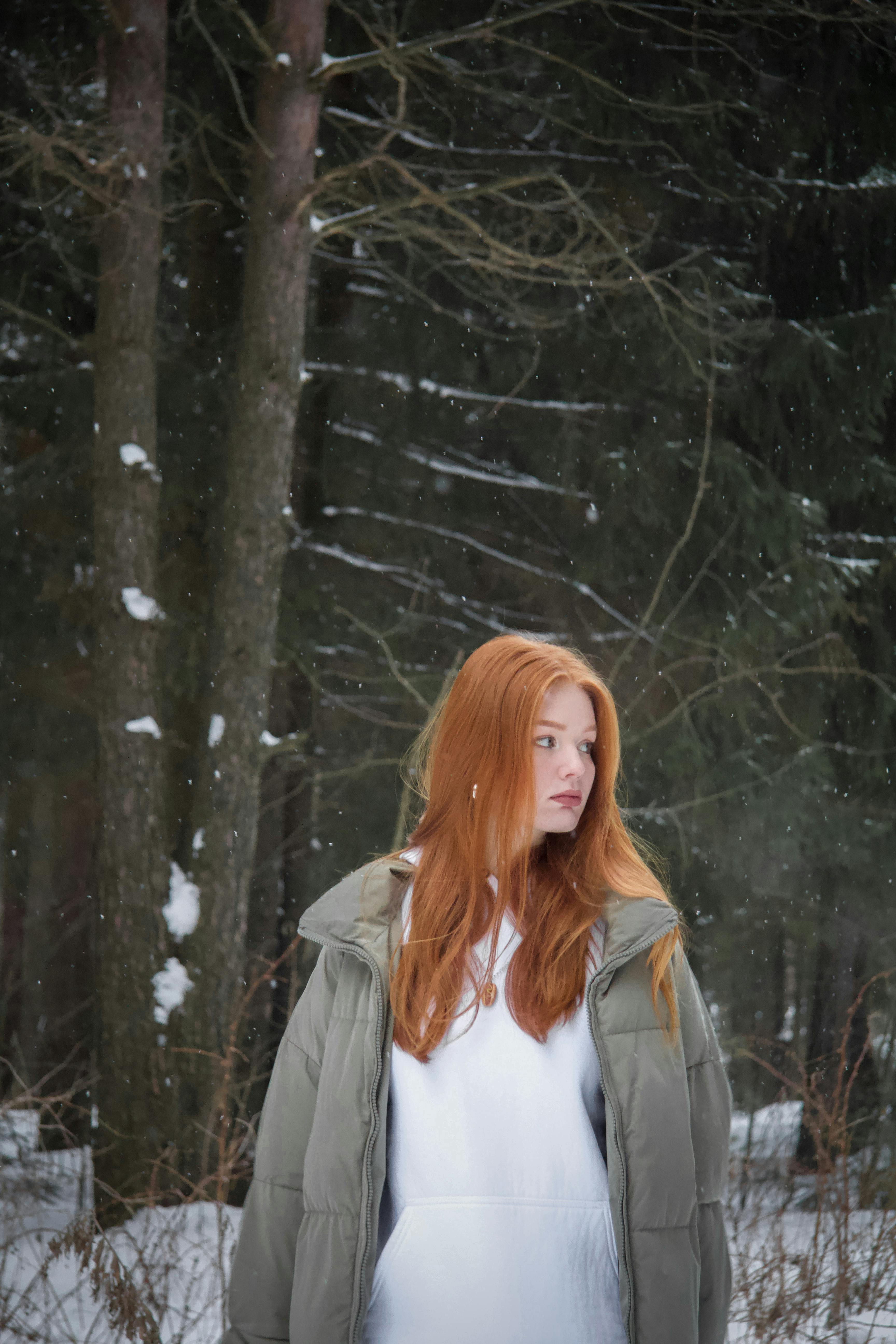 A Tree In A Forest A Collection Of Ajahn Chah S Similes