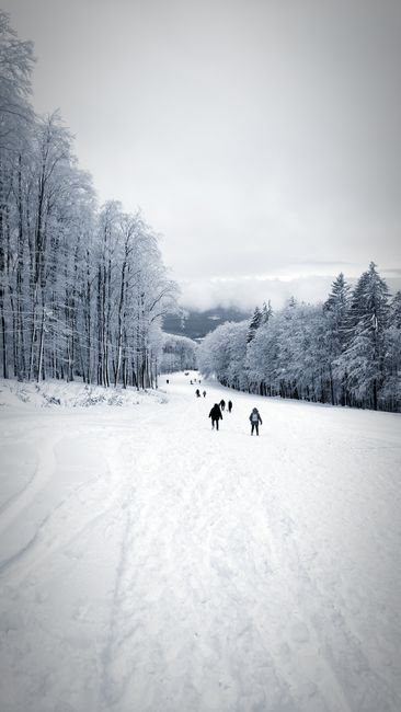 A Winter Visit to Discovery Ski Area things to do in anaconda mt