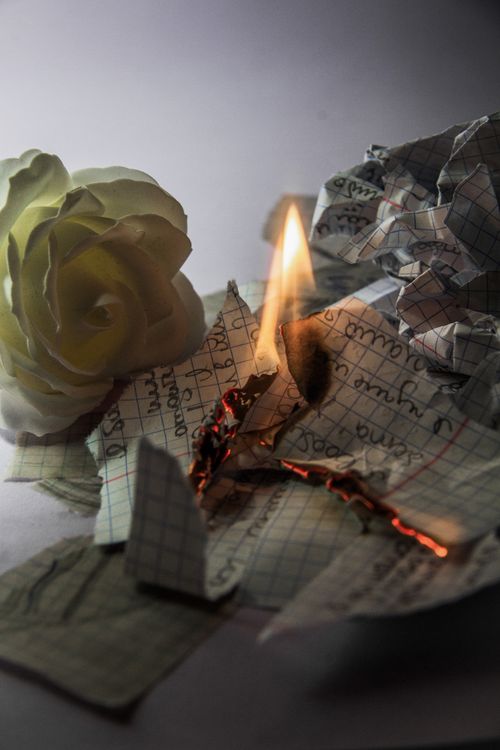 Free A crumpled paper with flame beside a white rose, creating an artistic contrast. Stock Photo