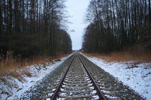 Railway Tracks Through the Forest in Winter