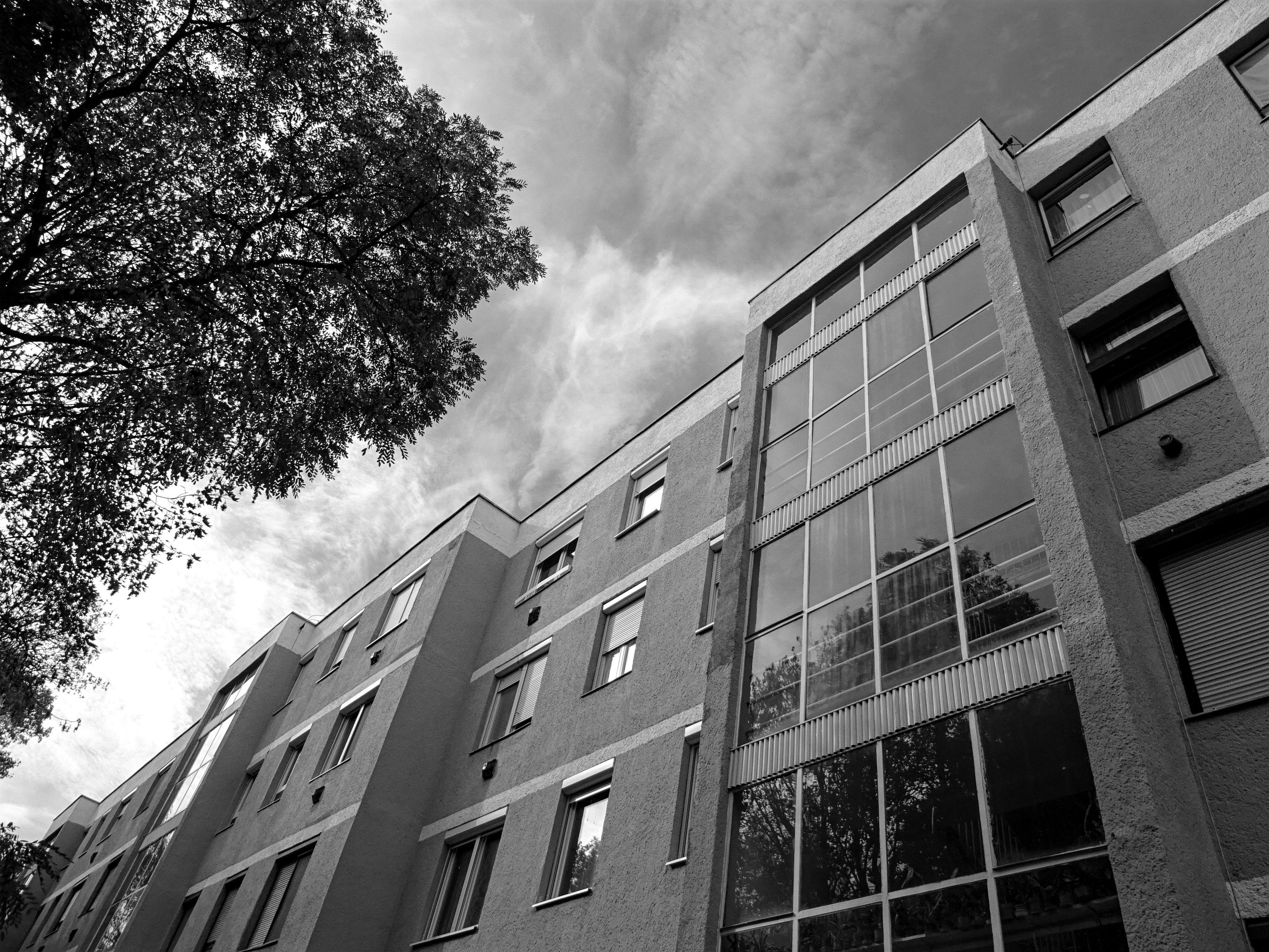 一张现代公寓建筑立面的低角度黑白照片，映衬着树木和天空