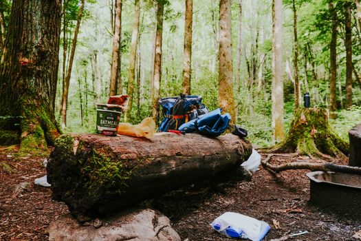 Trash after Camping in Forest