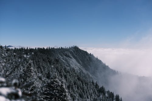 Mountains in Clouds