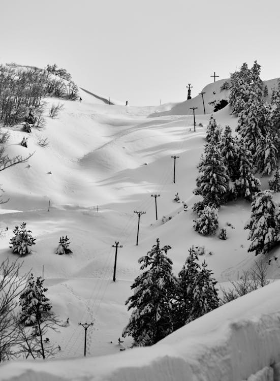 Power Lines on a Mountainside Buried in Snow