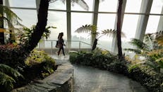 一个女人走过伦敦的空中花园，四周环绕着郁郁葱葱的绿植