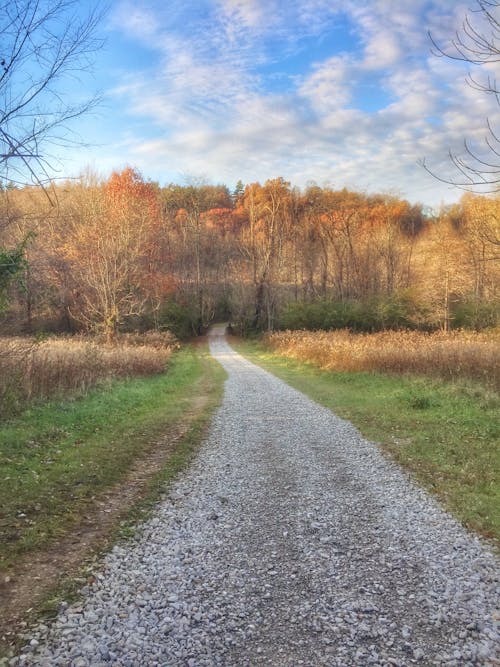 Chestnut Ridge - Metro Park