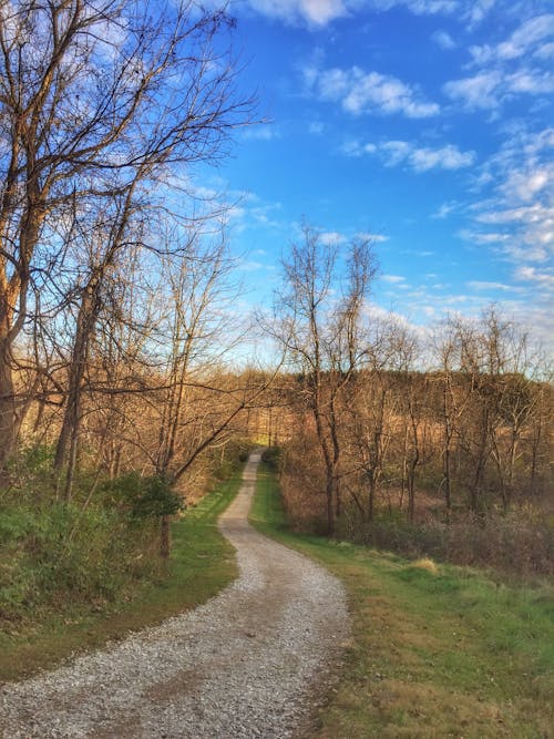 Chestnut Ridge - Metro Park