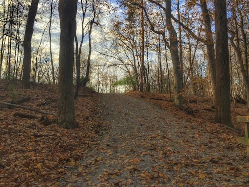 Chestnut Ridge - Metro Park