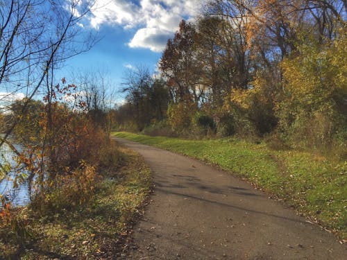 Cenci Lake Park