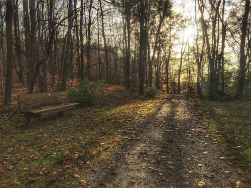 Chestnut Ridge - Metro Park