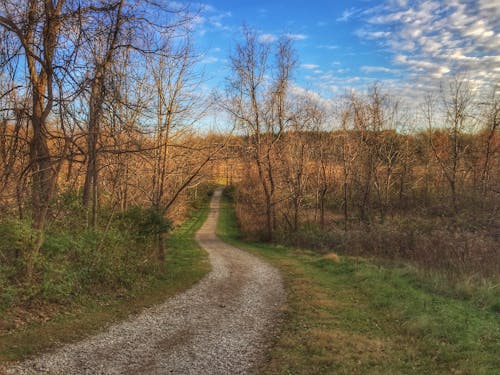 Chestnut Ridge - Metro Park