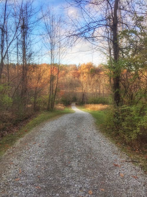 Chestnut Ridge - Metro Park