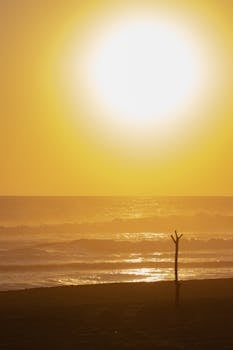 Golden sunset over Acapulco beach with serene waves and vibrant sky.