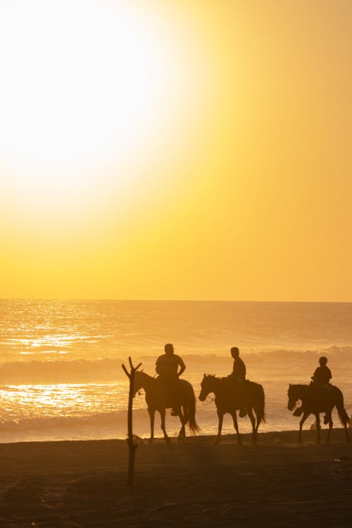 People Riding on the Horses During Sunset 