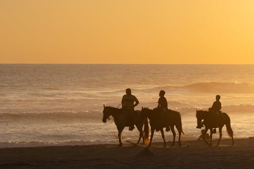 + Fotos y Imágenes de Playa de mexico Gratis · Banco de Fotos Gratis + Fotos y Imágenes de Playa de mexico Gratis · Banco de Fotos Gratis