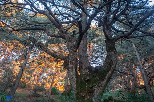 Imagine de stoc gratuită din apreciază, fotografie de unghi larg, Instagram