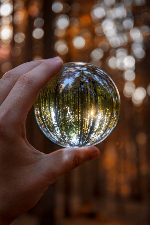 Free A hand holds a glass ball reflecting a forest scene with bokeh effects. Stock Photo