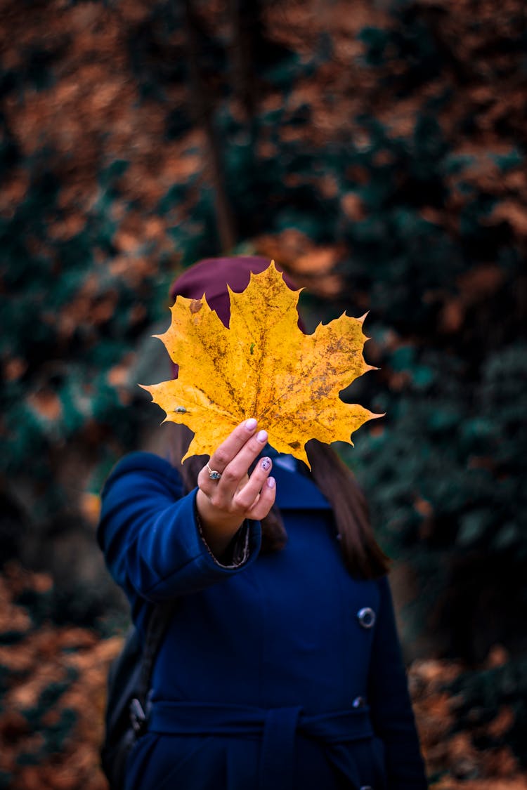 Photo Of Person Holding Yellow Leaf