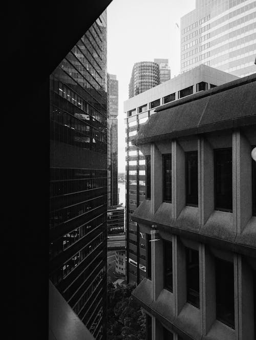 Skyscrapers of Modern City in Black and White
