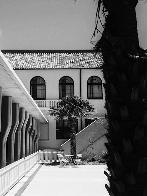 Building Facade with Outdoor Stairs and a Palm Tree in the Courtyard 