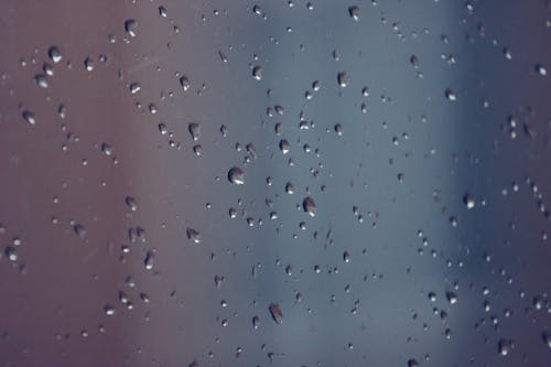Бесплатное стоковое фото с дождь, капли дождя, крупный план