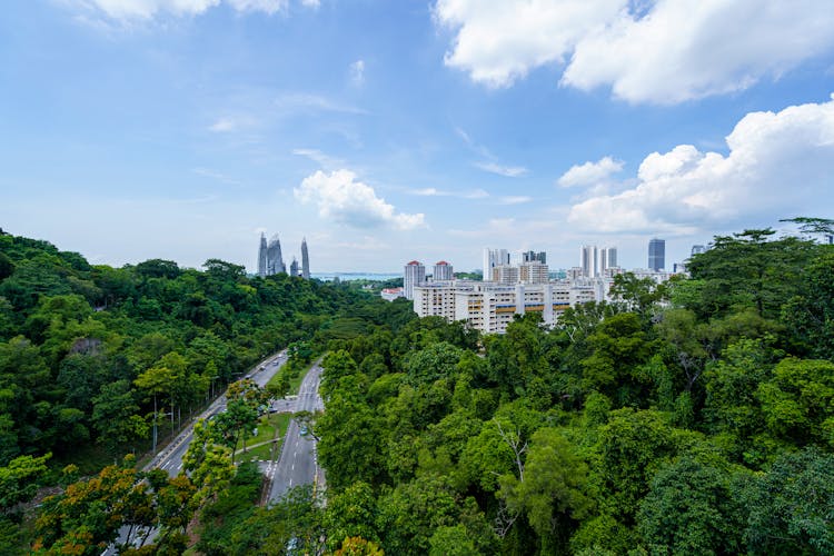 City Buildings In Green Trees