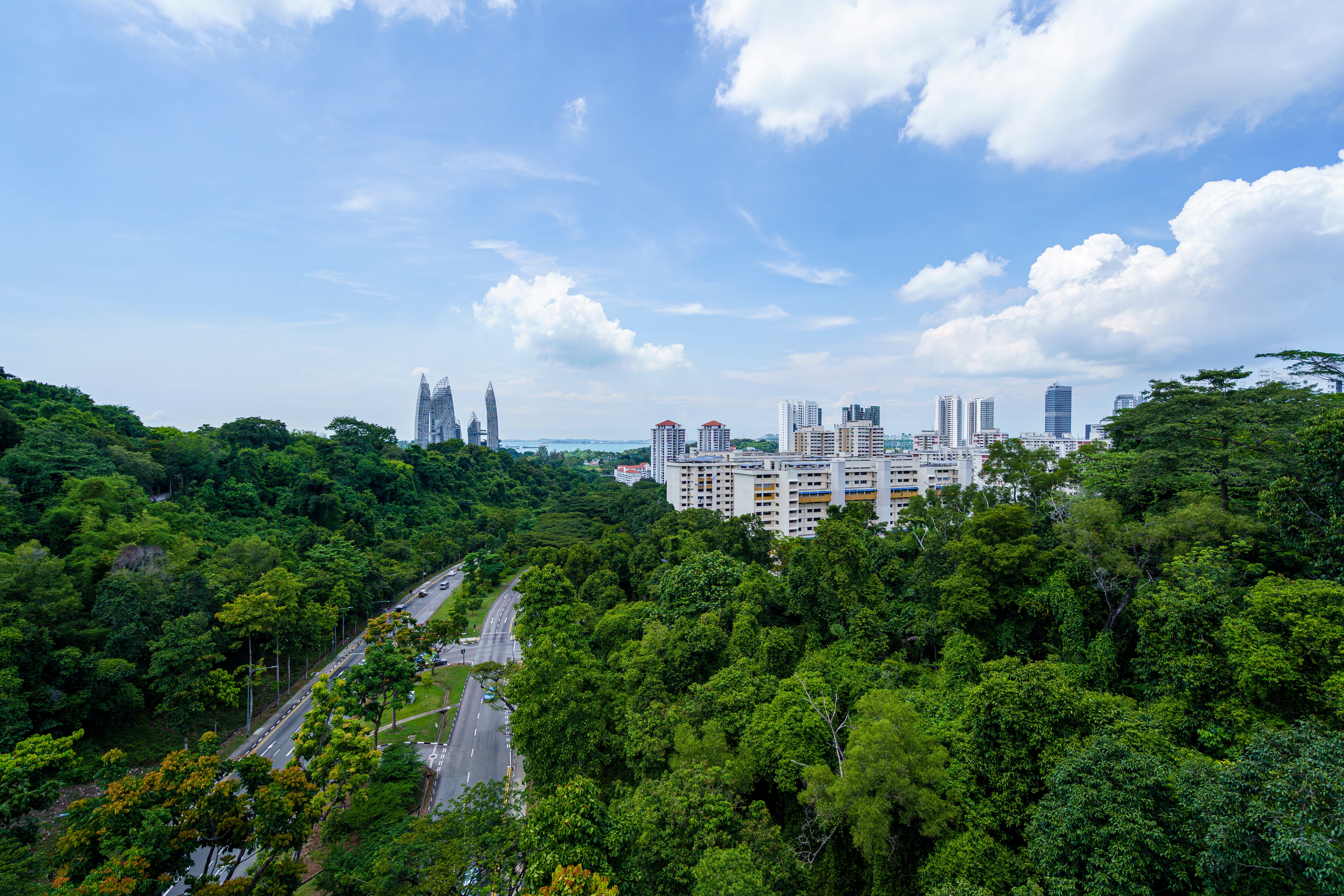 City Buildings in Green Trees · Free Stock Photo