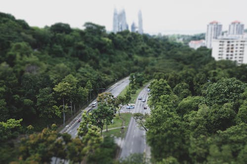 Foto stok gratis cityscape, hutan, ibu kota