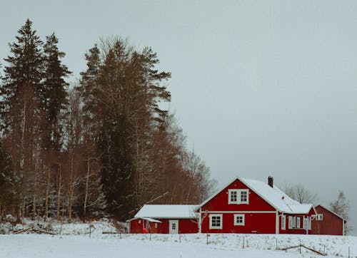 Foto profissional grátis de árvores, campo, casa vermelha