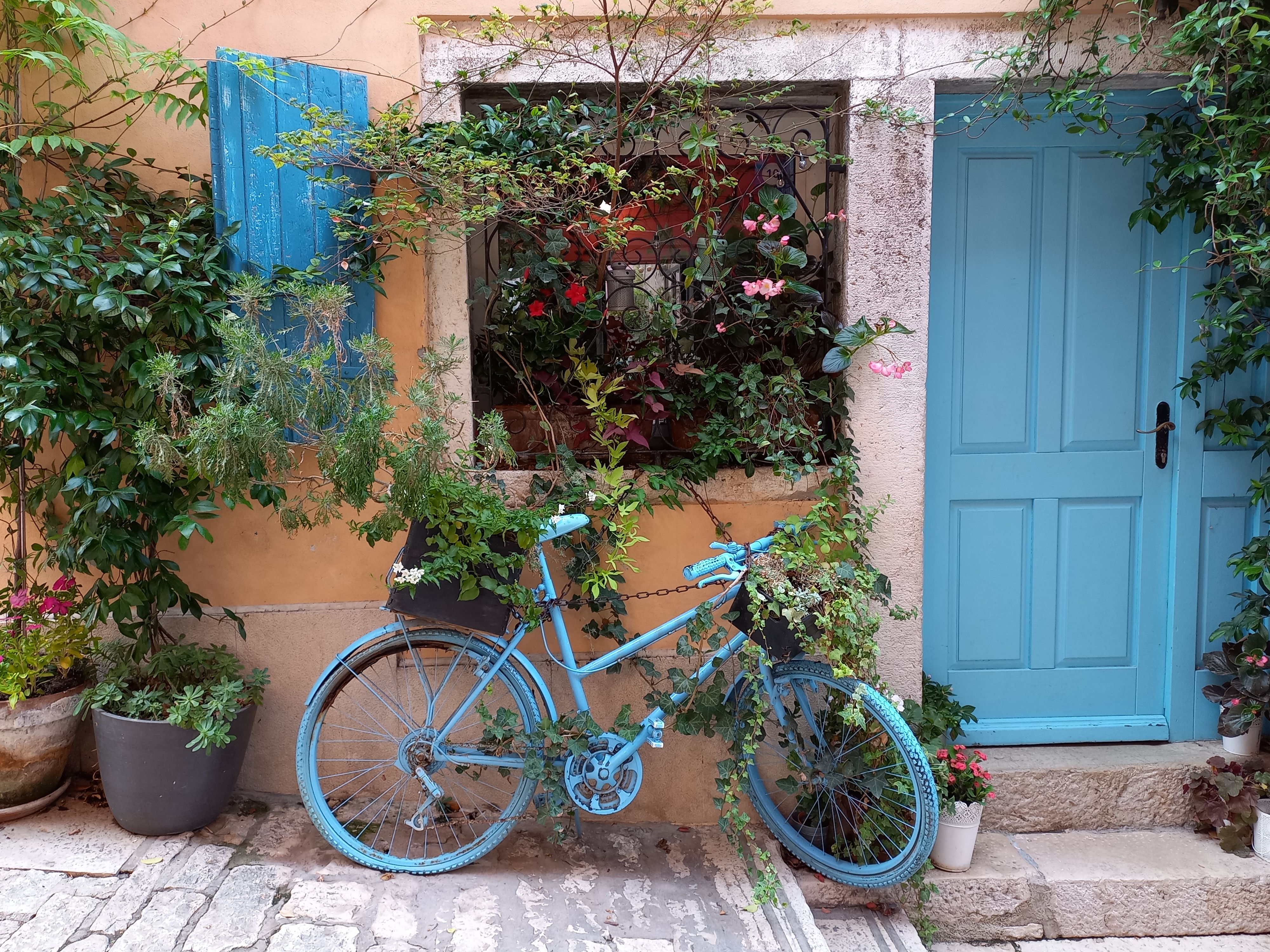 Vibrant blue bicycle against a rustic facade in Rovinj, adorned with plants and flowers. - Rovinj