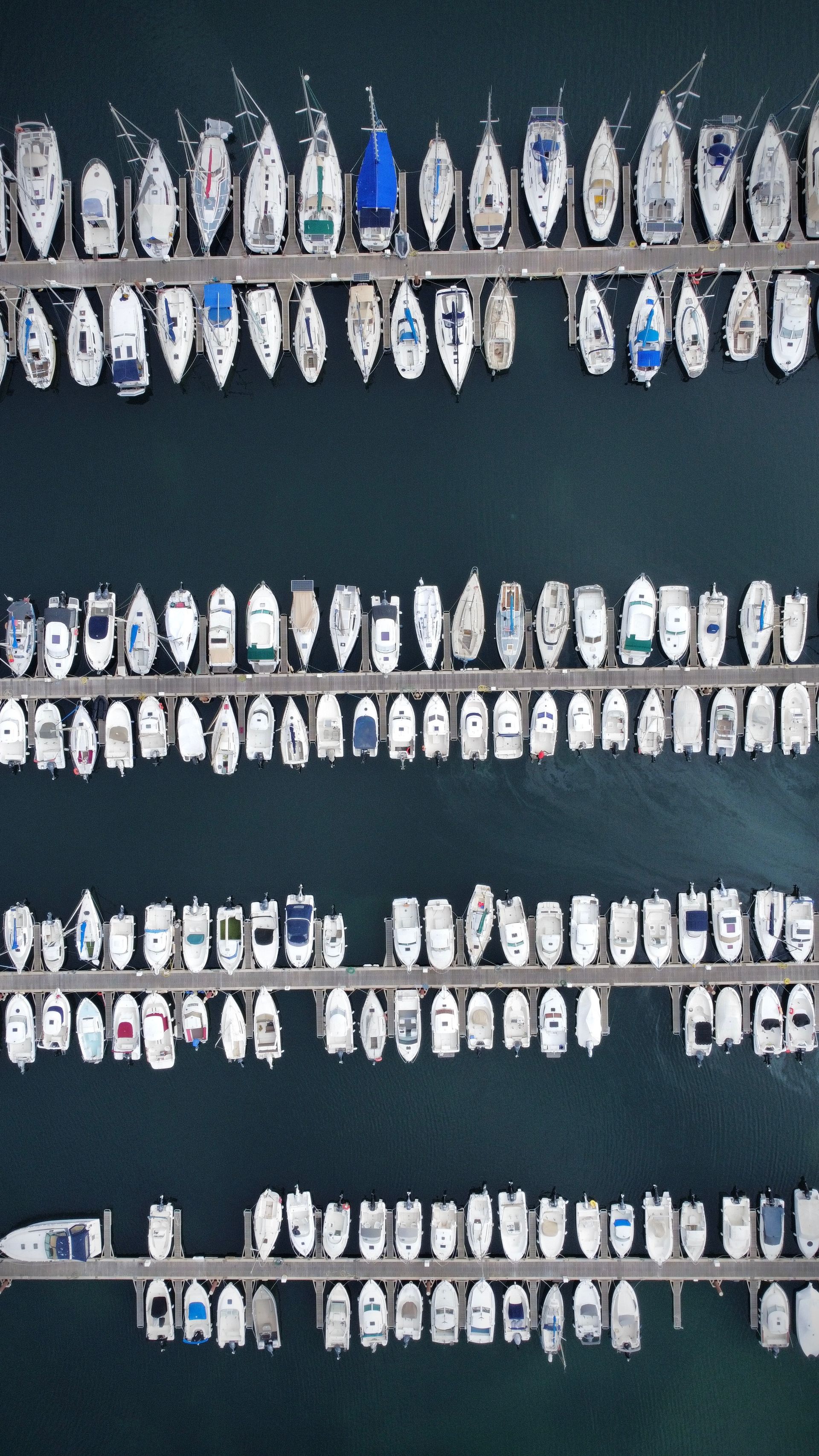 Placeholder: bright aerial view of a marina with rows of docked charter boats