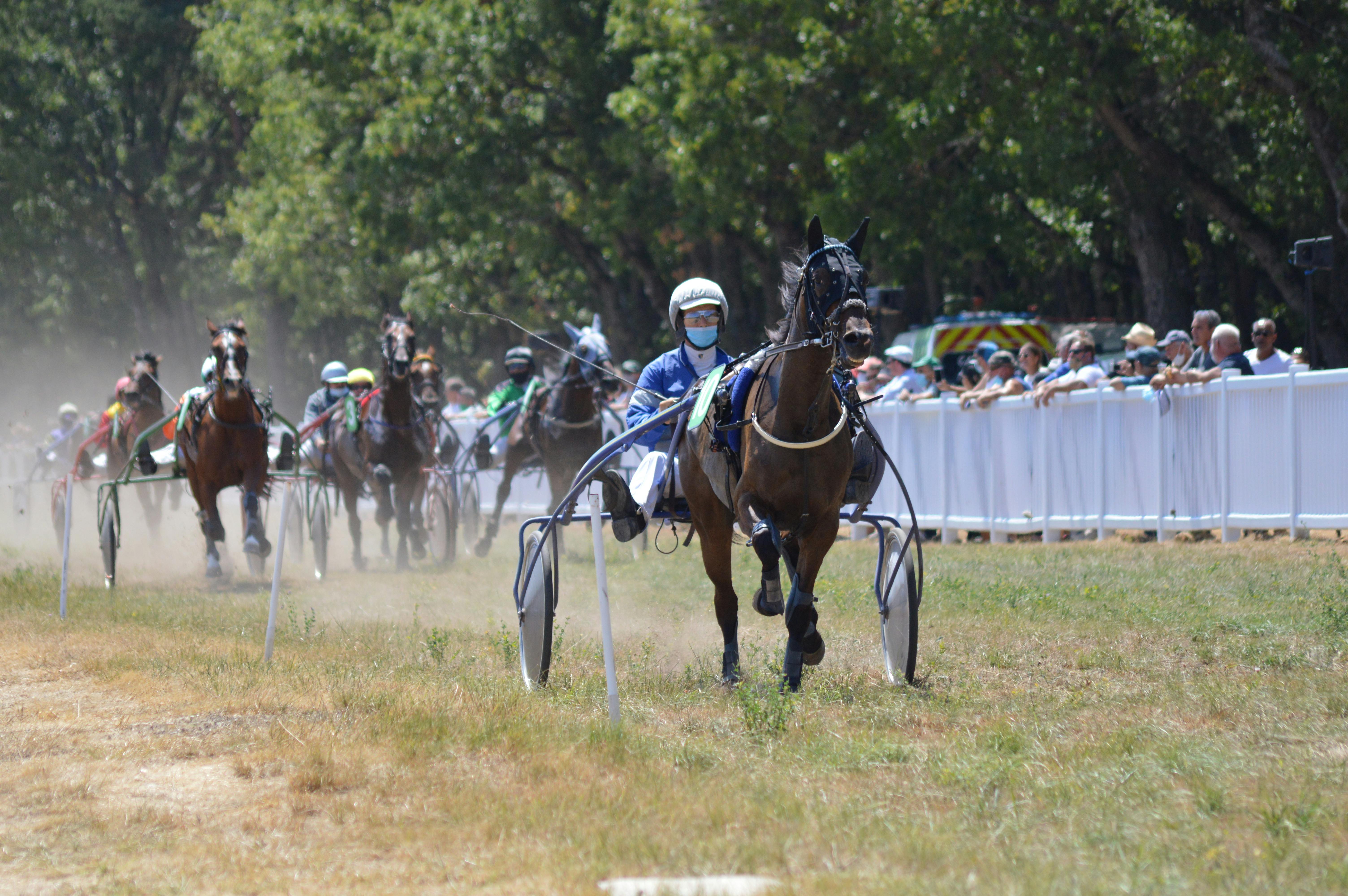 320 melhor ideia de Corrida de cavalos