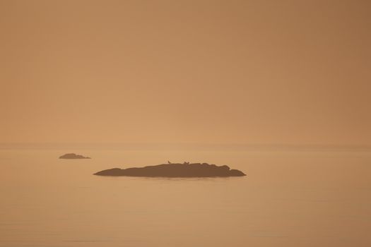 A tranquil misty scene of an islet surrounded by calm waters during dawn, exuding peacefulness.
