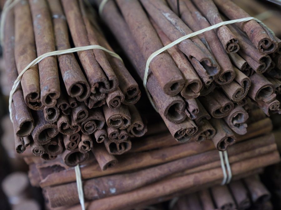 Cinnamon sticks close up