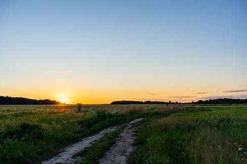 View of a Dirt Road at Sunset 