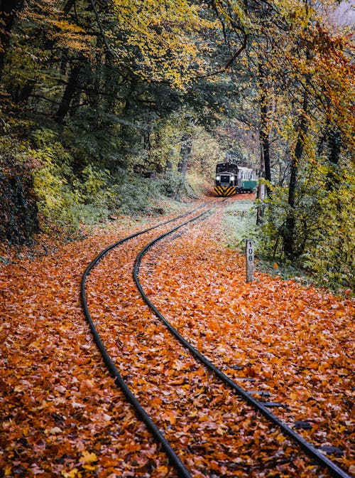 Free Green Train Surrounded by Trees Stock Photo