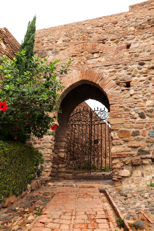 Gratis arkivbilde med alcazaba, andalusia, gårdsplass