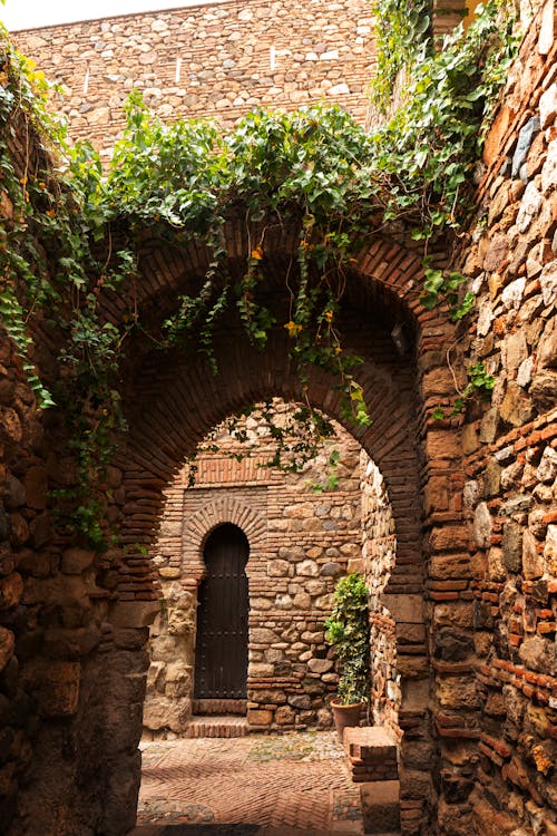 Gratis arkivbilde med alcazaba, andalusia, gårdsplass