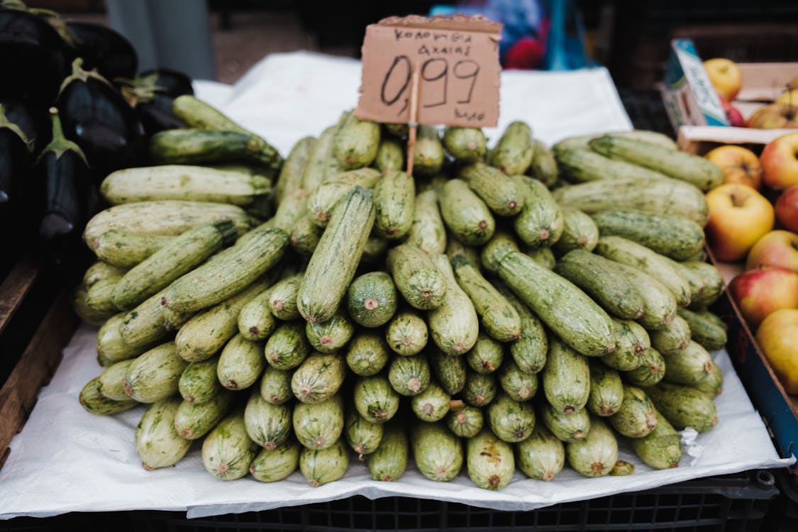 Photos gratuites de agriculture, courge d'été, courgette