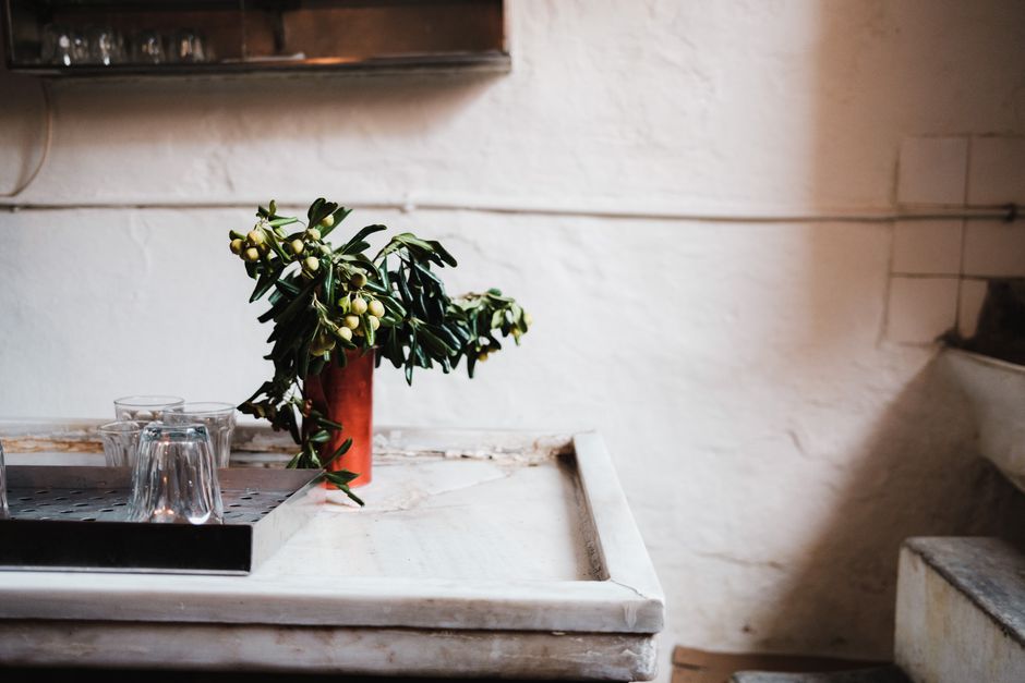Stylish minimalist interior featuring a peperomia plant in a terracotta vase on a marble table, perfect for modern decor inspiration.