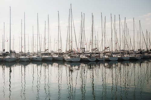 Row of Sailboats Moored in a Marina 