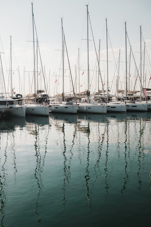 Sailboats in a Marina