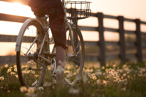 Free Person Riding Bicycle Near Fence Stock Photo