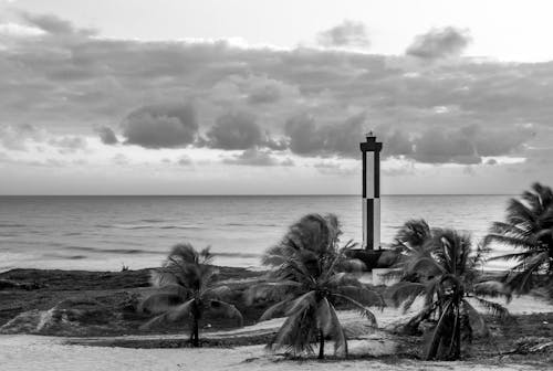 Free stock photo of beach, black, black amp white