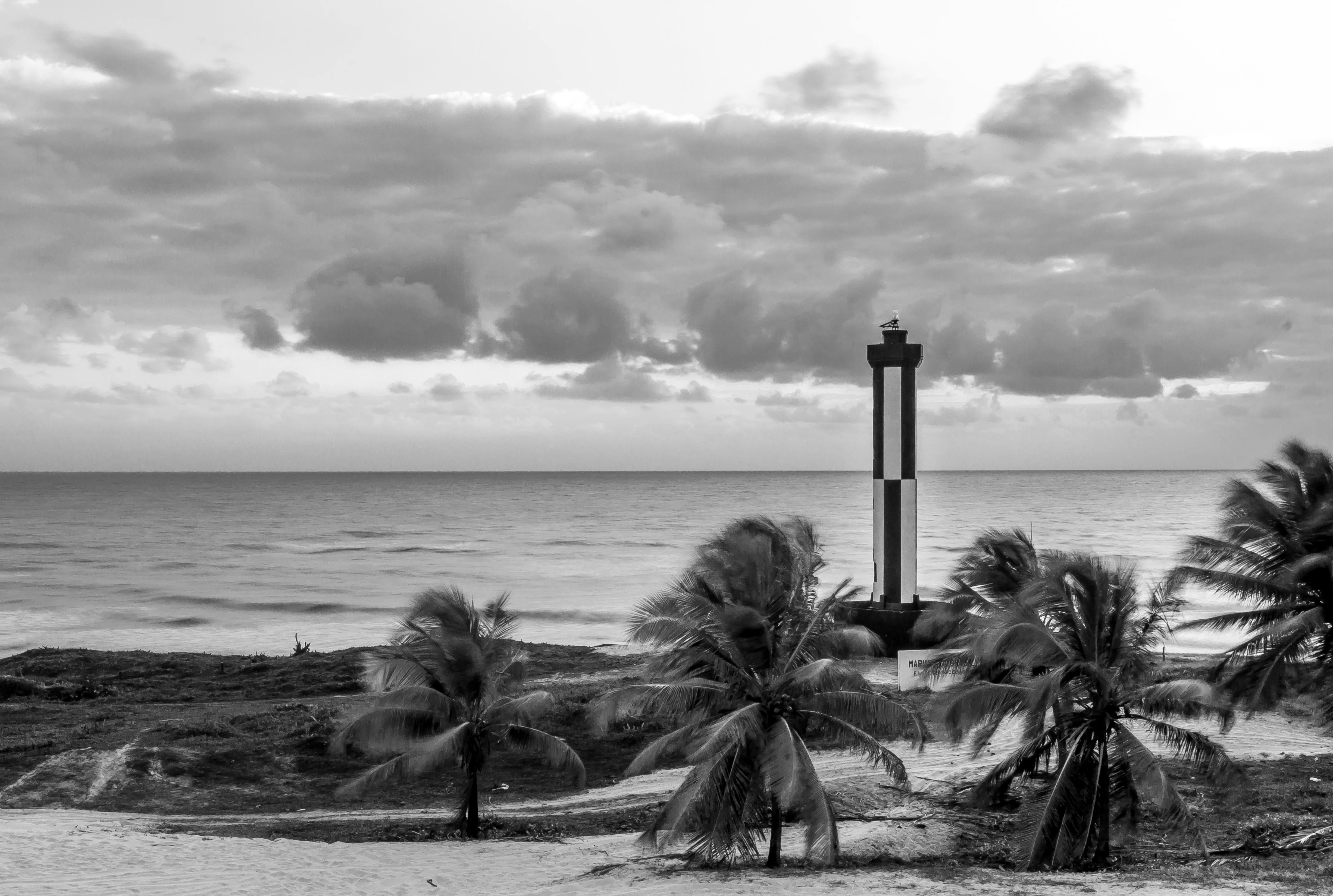 Free stock photo of beach, black, black and white