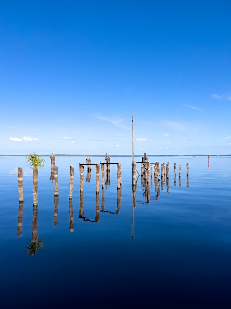 Blue Seascape And Wooden Sticks