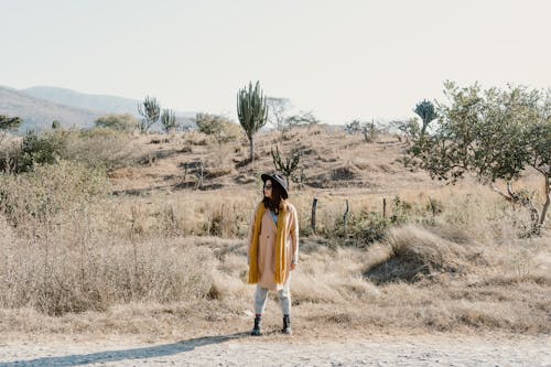 Foto d'estoc gratuïta de barret, bufanda, cactus