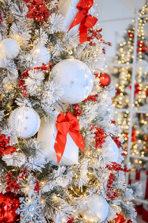 Foto d'estoc gratuïta de adorn nadalenc, arbre de Nadal, bola de vidre