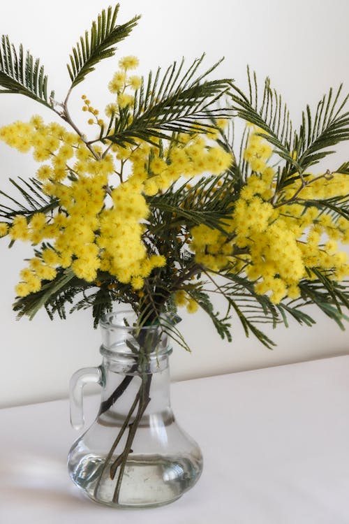 Yellow Flowers in Vase